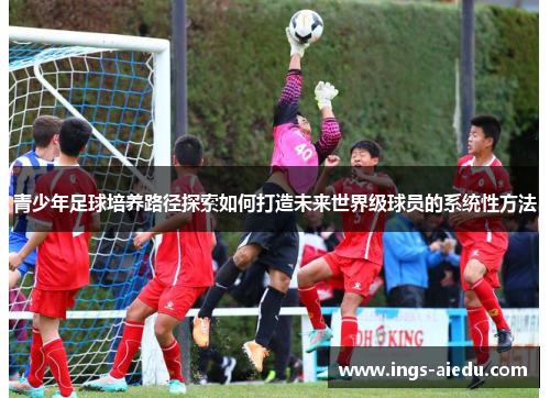 青少年足球培养路径探索如何打造未来世界级球员的系统性方法