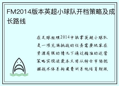 FM2014版本英超小球队开档策略及成长路线